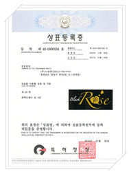 Brand Registration (40-0900534)