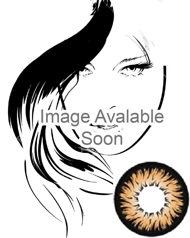 Geo Xtra Aster Brown 2 Tone Circle Lens WTC14 - CircleLensesUSA.com
